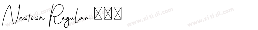 Newtown Regular字体转换